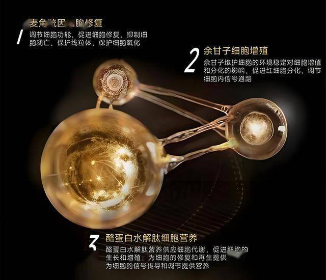 我用了三个月，构建了一个程序化交易方针模型的崩盘故事